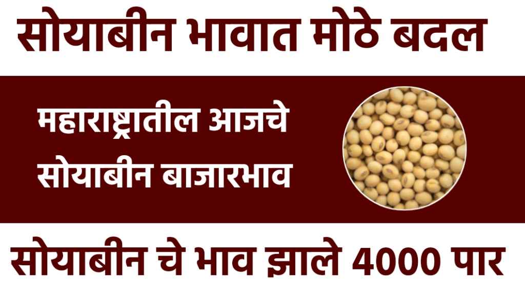 Soyabean Rate Today