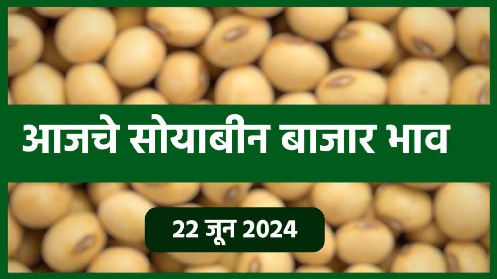 Soyabean Rate Today : आजचे सोयाबीन बाजार भाव  22 जून 2024