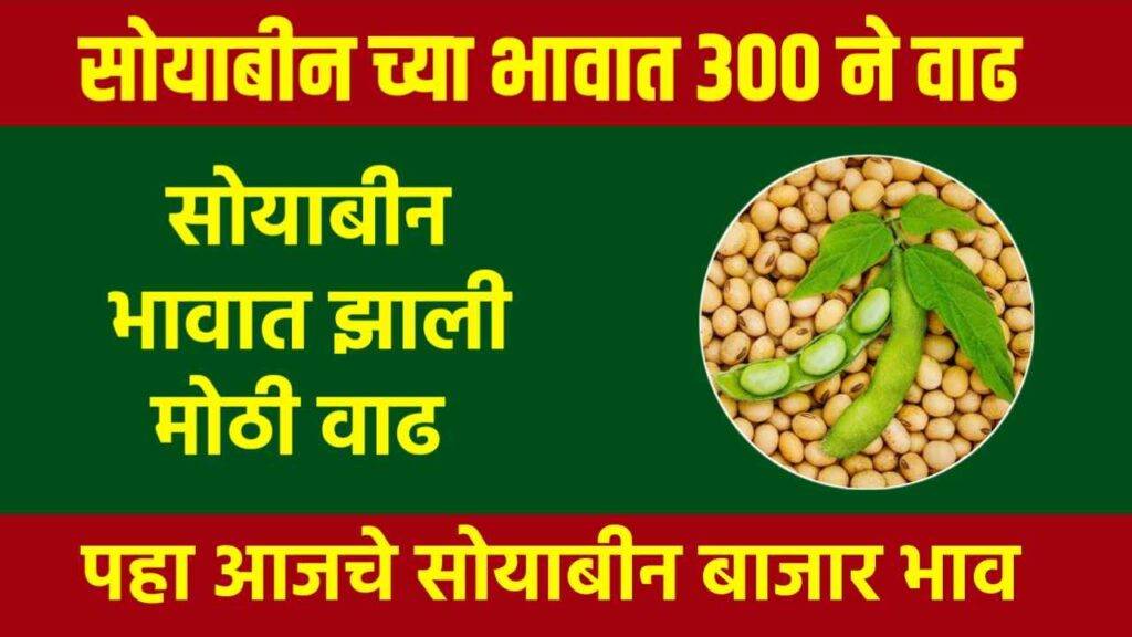 Soyabean Rate Today : सोयाबीनच्या भावात झाले बदल पहा आजचे नवीन दर