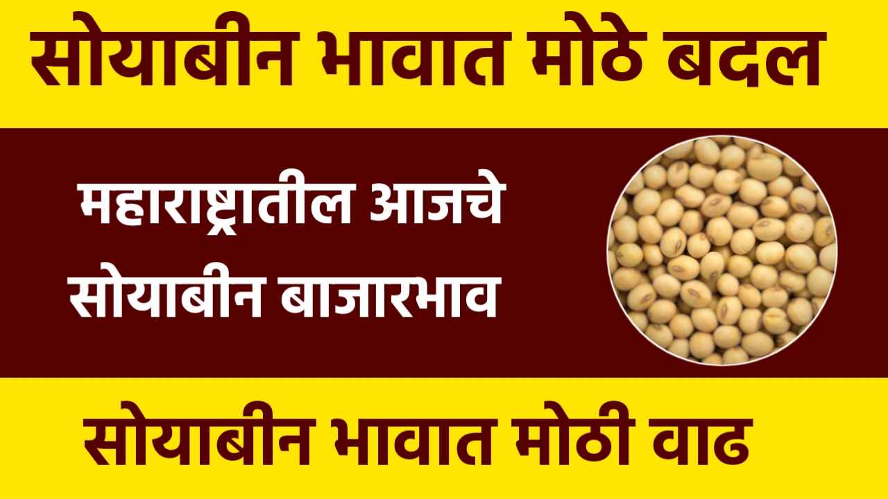 Soyabean Rate Today : सोयाबीनच्या भावात झाली मोठी वाढ पहा सोयाबीन बाजार भाव