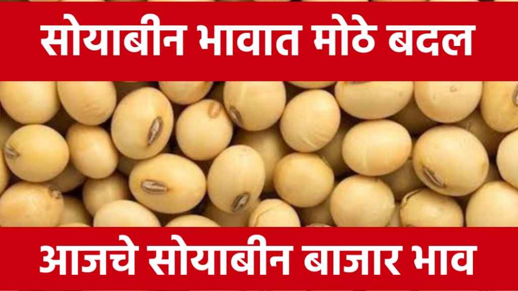 Soyabean Rate Today