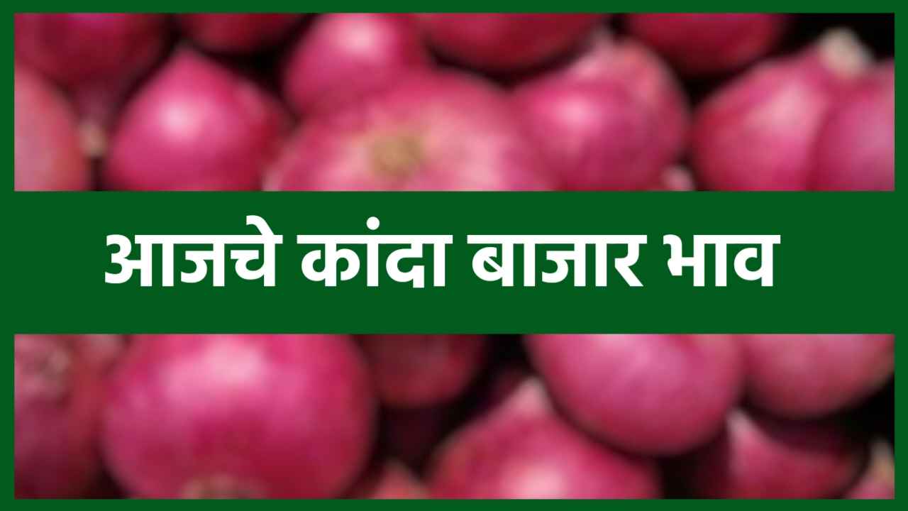 onion Rate Today : कांद्याच्या भावामध्ये झालं मोठ्या बदल पहा आजचे कांदा बाजार भाव