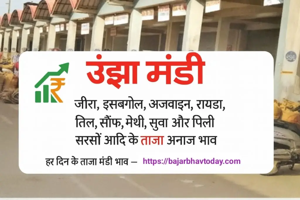 उंझा मंडी आज का भाव – जीरा, इसबगोल, अजवाइन, रायड़ा, तिल, सौंफ, मेथी और सरसों के ताज़ा अनाज रेट | BajarBhavToday.com