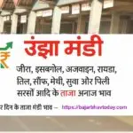 उंझा मंडी आज का भाव – जीरा, इसबगोल, अजवाइन, रायड़ा, तिल, सौंफ, मेथी और सरसों के ताज़ा अनाज रेट | BajarBhavToday.com