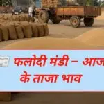 📰 फलोदी मंडी – आज के ताजा भाव