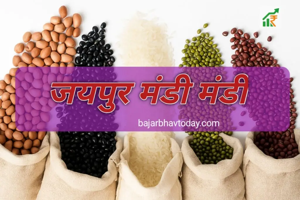 Jaipur mandi bhav Today