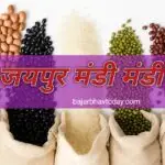 Jaipur mandi bhav Today