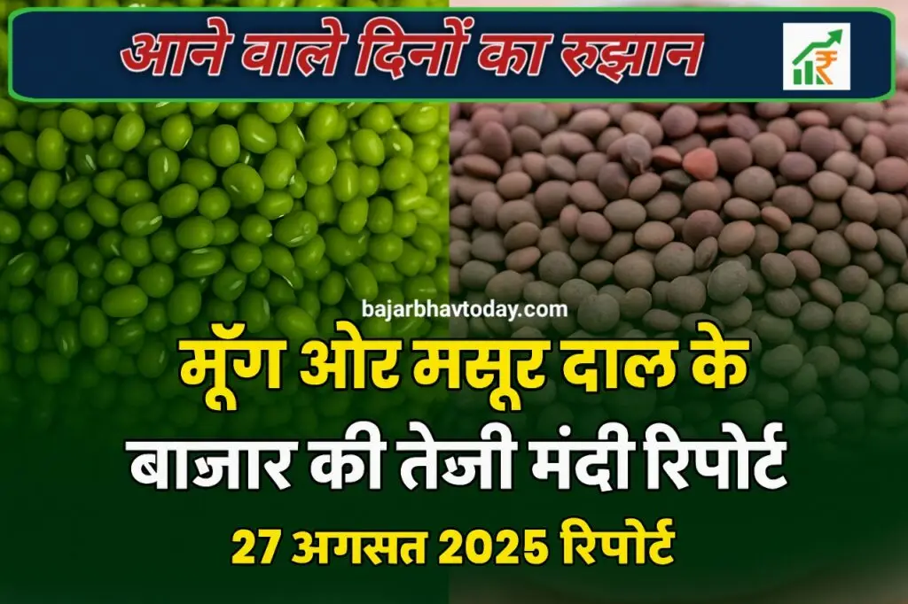 मूंग और मसूर दाल की मंडी रिपोर्ट 27 अगस्त 2025