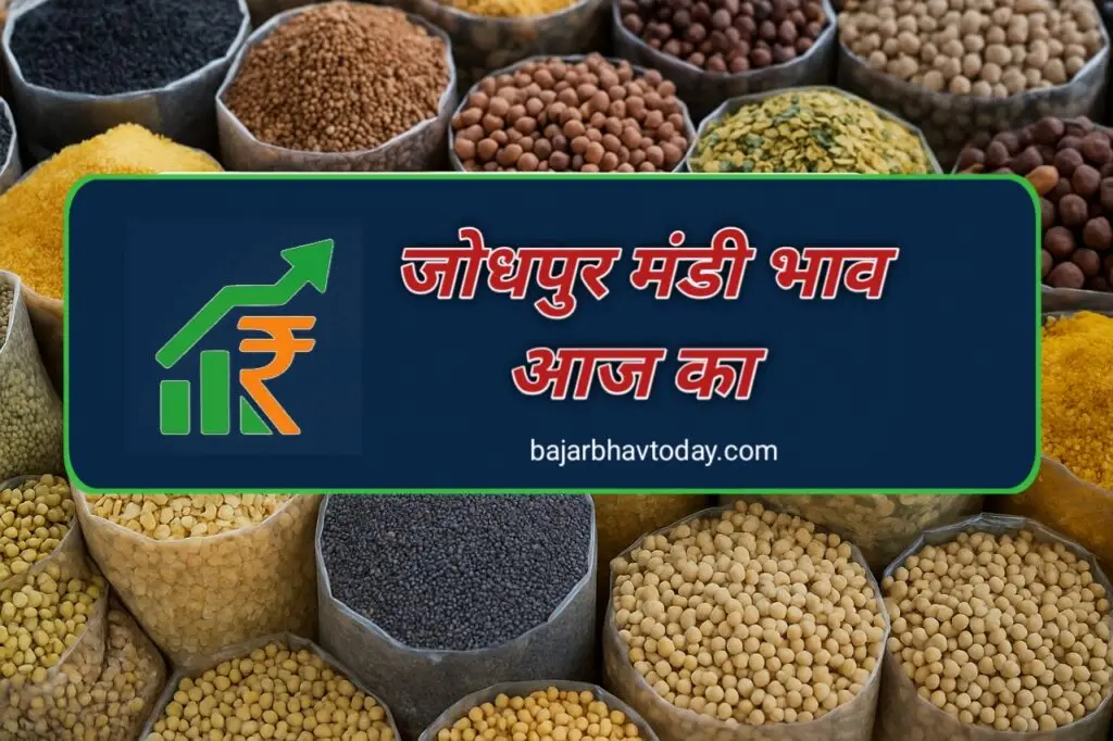 जोधपुर मंडी भाव आज – गेहूं, मूंग, मोट, रायड़ा, उड़द, जीरा और सरसों के ताज़ा भाव