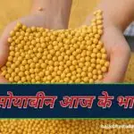 "किसान के हाथों में ताज़ा पीले सोयाबीन के दाने – सोयाबीन मंडी भाव और कृषि जानकारी"