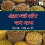 ऊंझा मंडी जीरा भाव आज | Unjha Mandi Jeera Bhav Today 2025