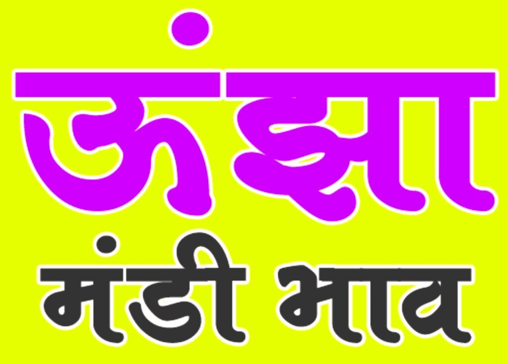 ऊंझा मंडी इसबगोल के आज के भाव | इसबगोल मंडी भाव 13 सितम्बर | मंडी भाव गुजरात