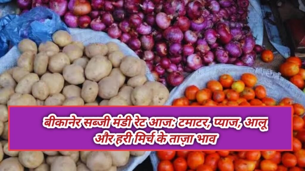 बीकानेर सब्जी मंडी रेट आज: टमाटर, प्याज, आलू और हरी मिर्च के ताज़ा भाव