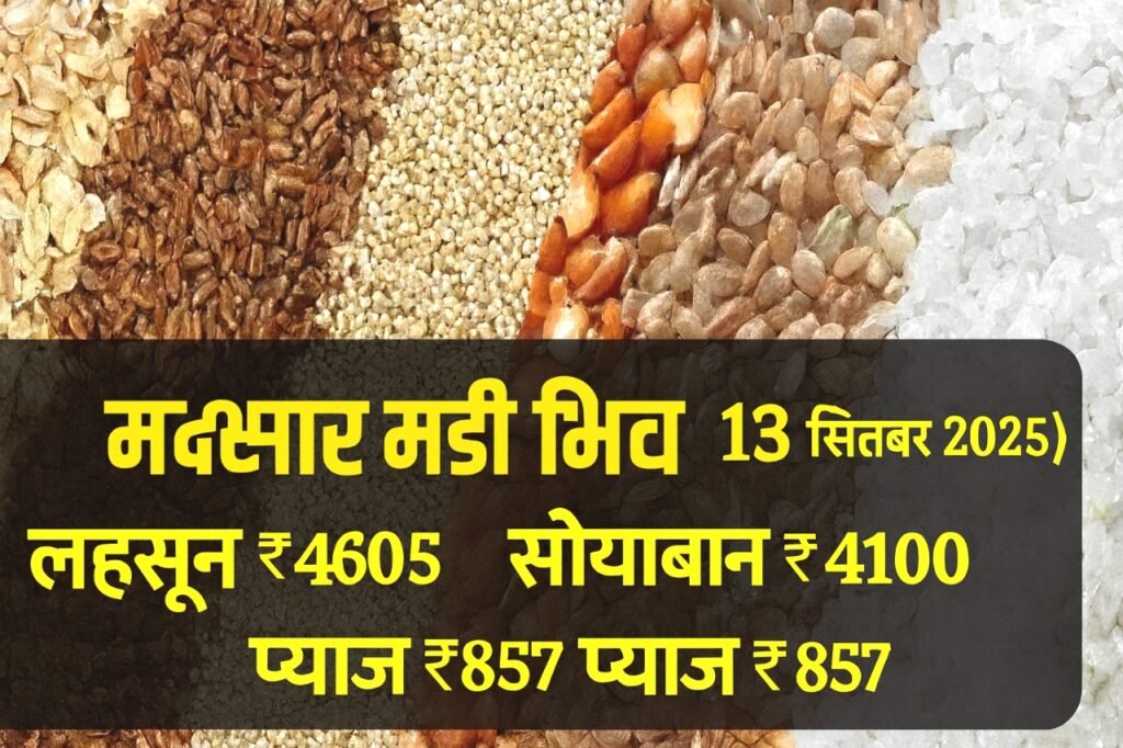 मंदसौर मंडी भाव (13 सितंबर 2025): लहसून, सोयाबीन और प्याज के आज के ताज़ा भाव