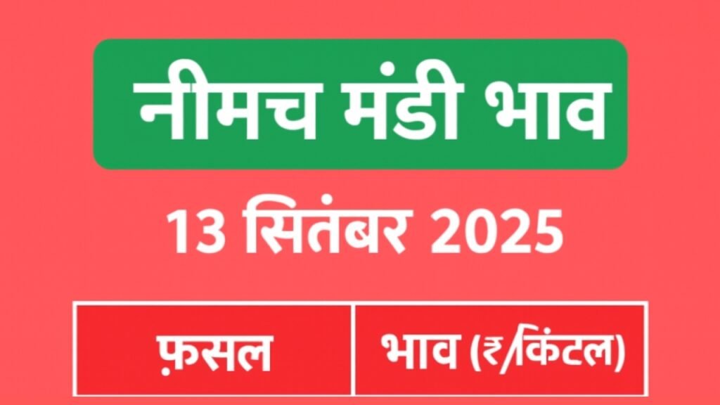 Neemuch Mandi | नीमच मंडी आज के ताज़ा भाव – 18 सितंबर 2025