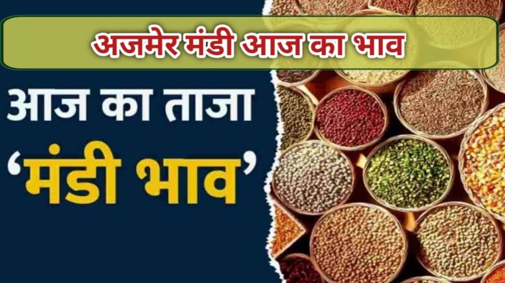 Ajmer Mandi Bhav Today | अजमेर मंडी आज का भाव | Rajasthan Mandi Bhav Today